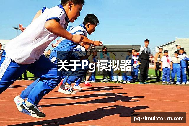 关于Pg模拟器